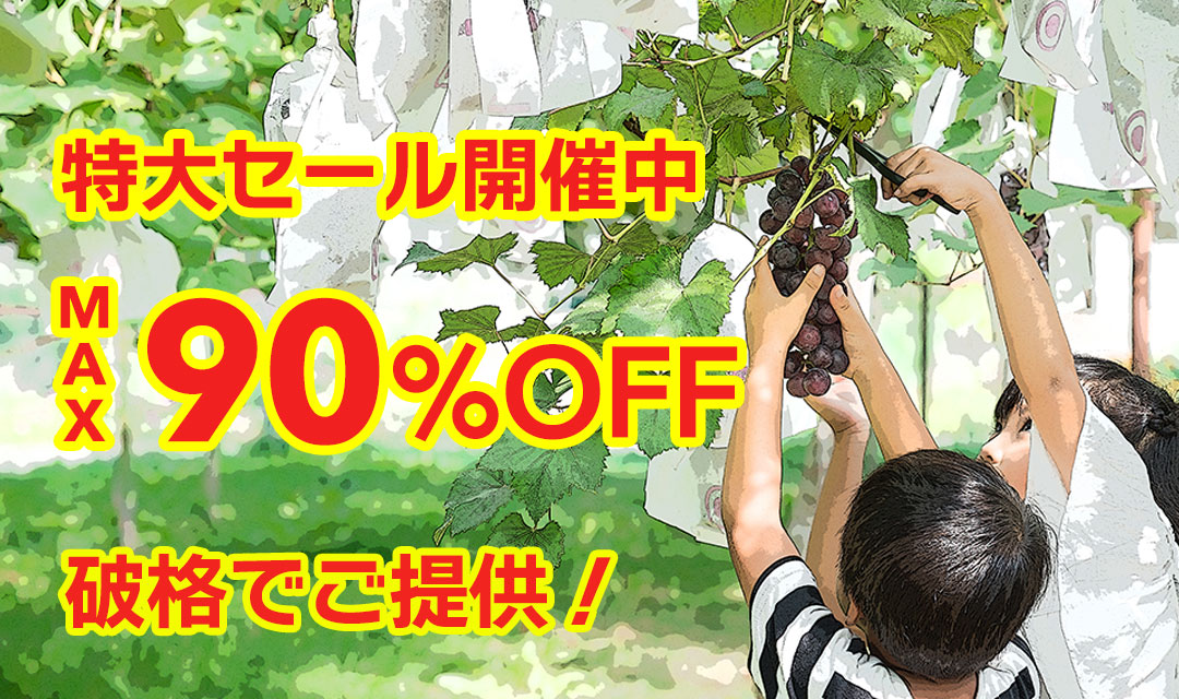 最大90％以上OFFの特大セール開催中！在庫限り、原価割れ、赤字覚悟のご奉仕超特価！