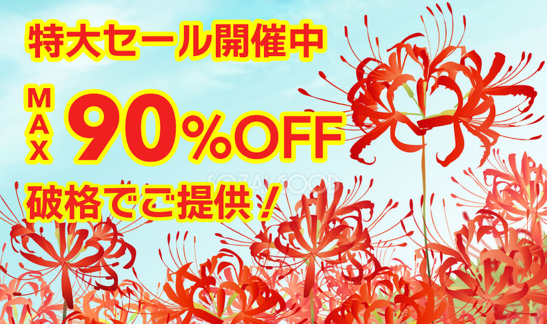 最大90％以上OFFの特大セール開催中！在庫限り、原価割れ、赤字覚悟のご奉仕超特価！