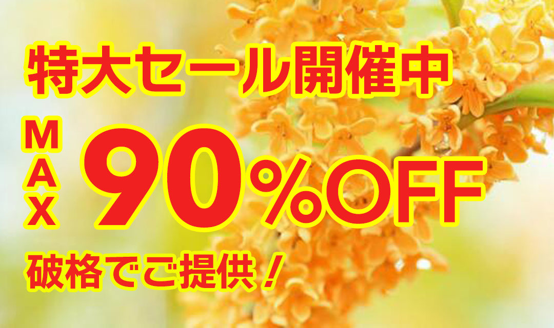 最大90％以上OFFの特大セール開催中！在庫限り、原価割れ、赤字覚悟のご奉仕超特価！