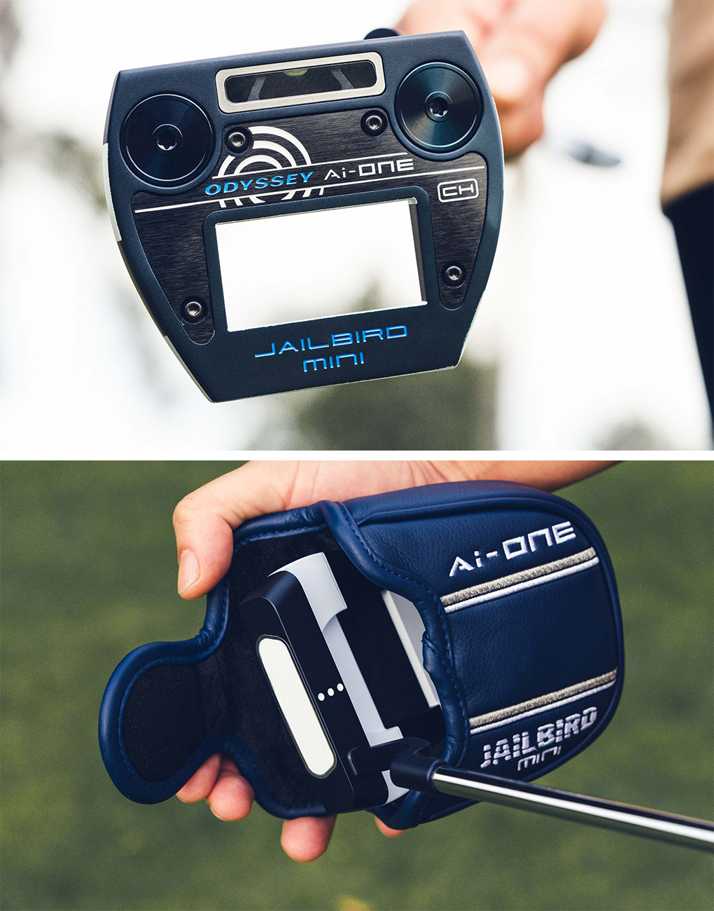 ジェイルバードミニパターの画像