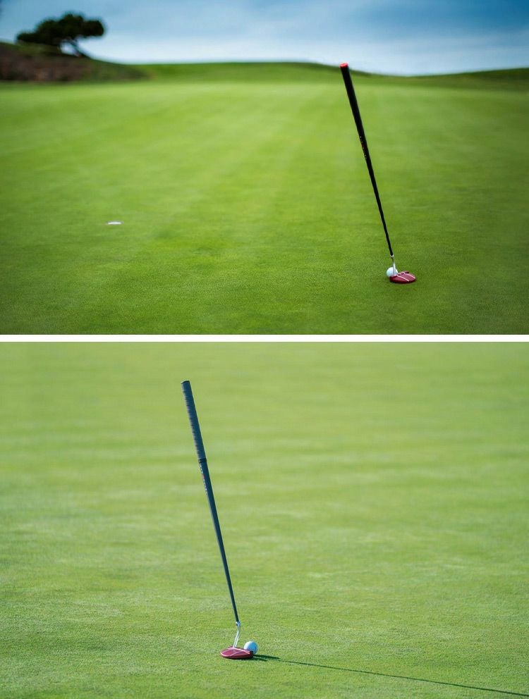 BLOODLINE_ブラッドライン_パター