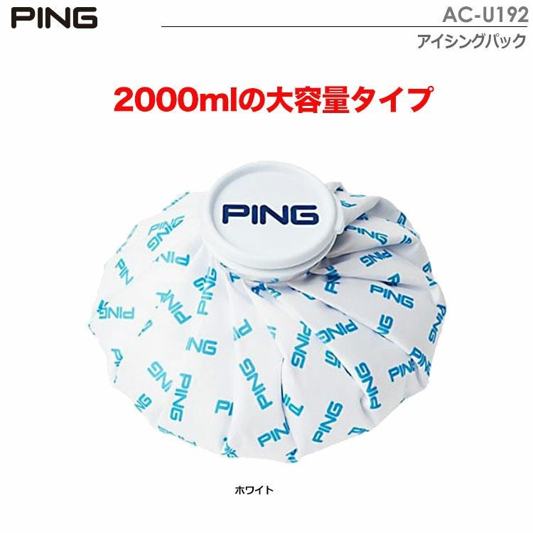 ピンアイシングパックAC-U192