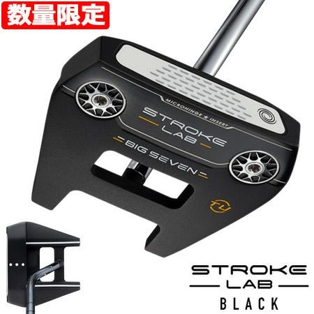 オデッセイ_パター