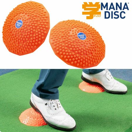 マナディスクBZL-N01