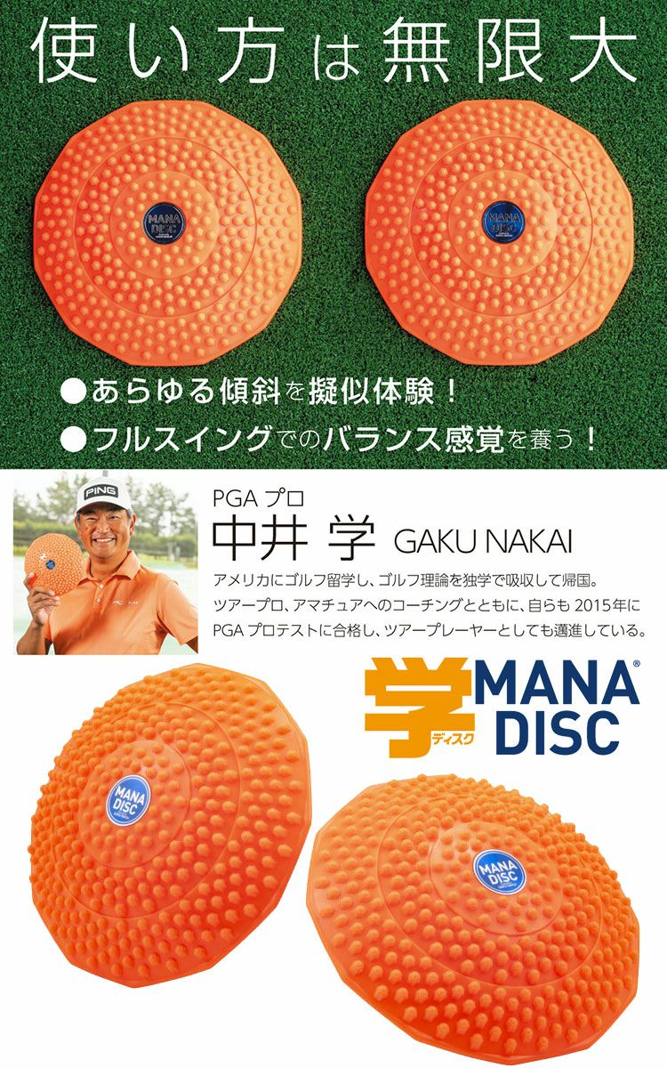 マナディスクBZL-N01