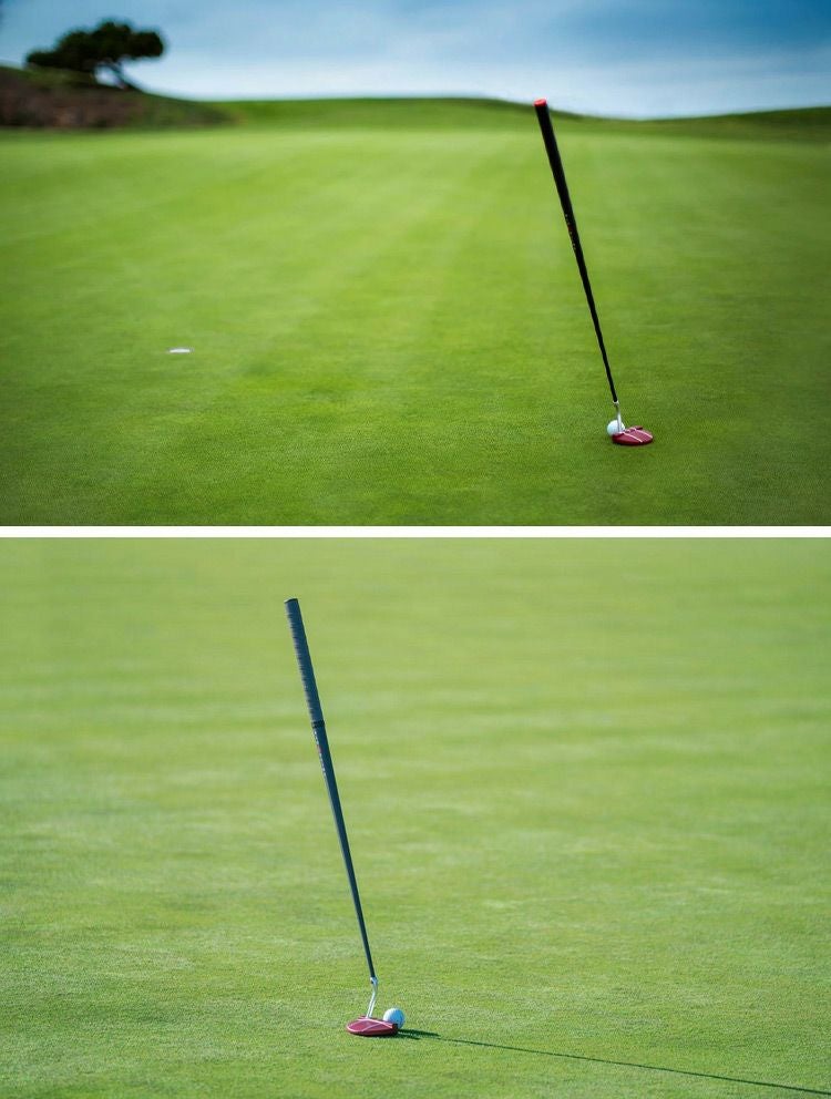 BLOODLINE_ブラッドライン_パター