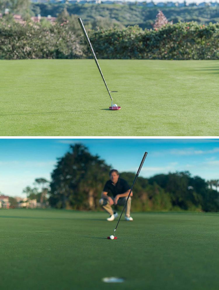 BLOODLINE_ブラッドライン_パター