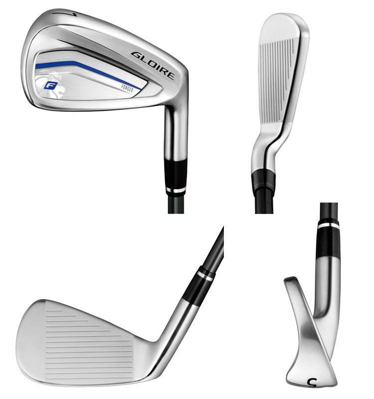 テーラーメイドTaylorMadeGLOIREFアイアン