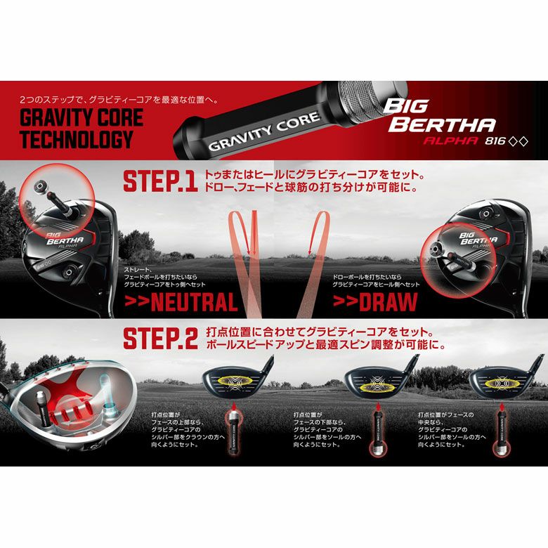 キャロウェイBigBerthaAlpha816DoubleBlackDiamondドライバーUSA直輸入品