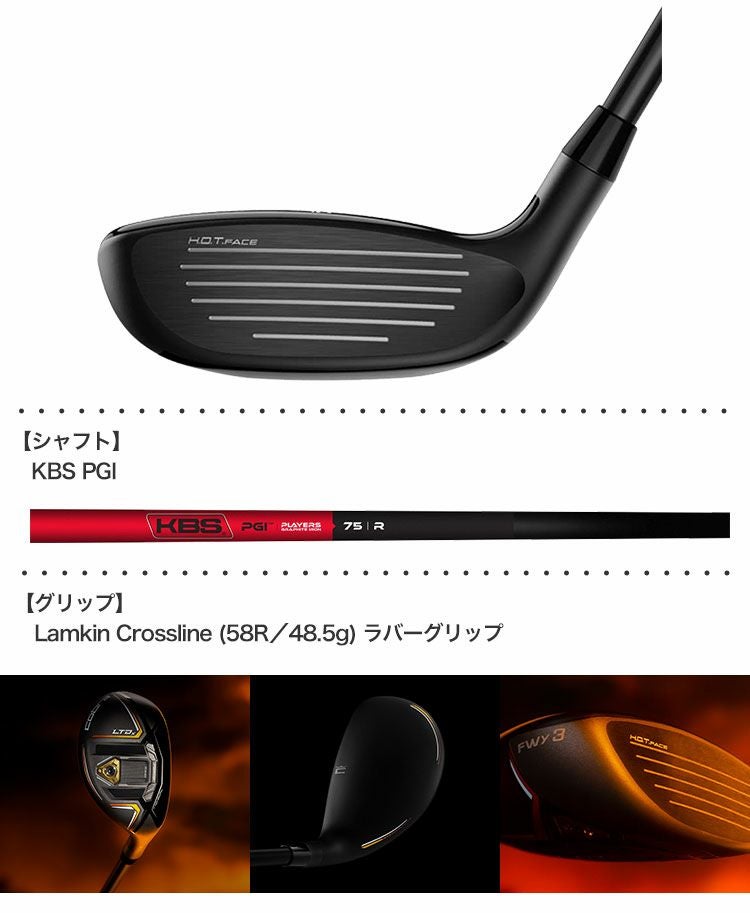 コブラLTDxハイブリッド