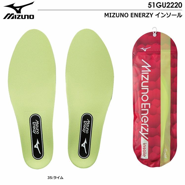 ミズノインソール