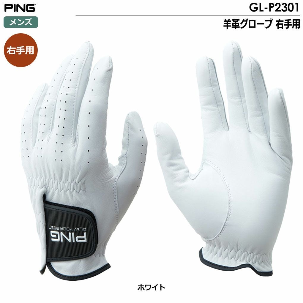 ピン PING GL-P2301 羊革グローブ 右手用 メンズ ゴルフグローブ 2023