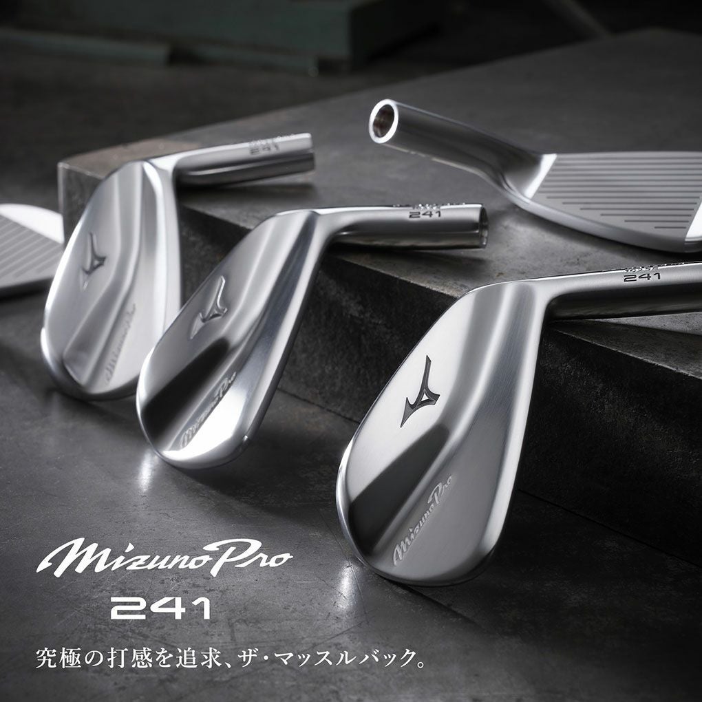 毎日発送】ミズノ Mizuno Pro 241 アイアン 6本セット(No.5～9、PW
