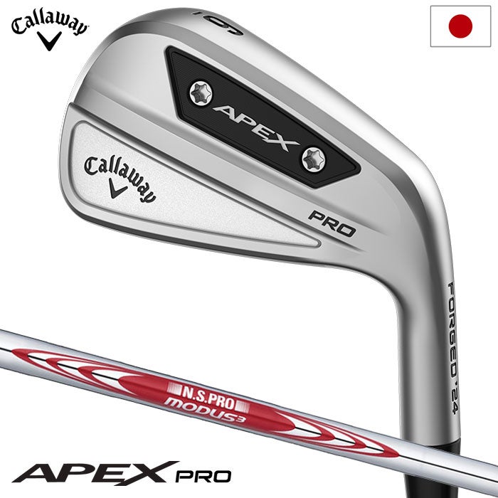 毎日発送】ミズノ Mizuno Pro 245 アイアン 6本セット(No.5～9、PW