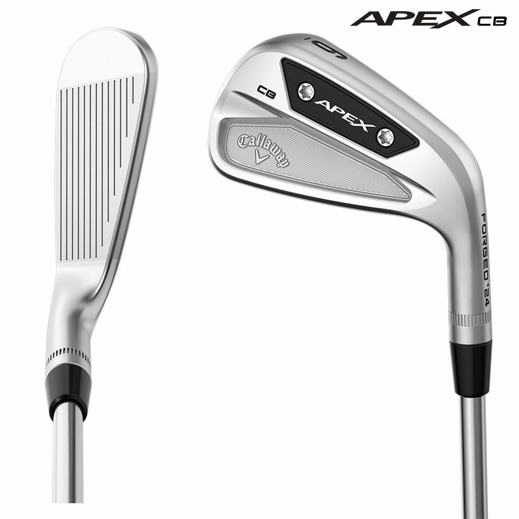 キャロウェイAPEXCBアイアン6本セット5-9,PWメンズ右用DynamicGoldMID115スチールシャフト2023年モデル日本正規品