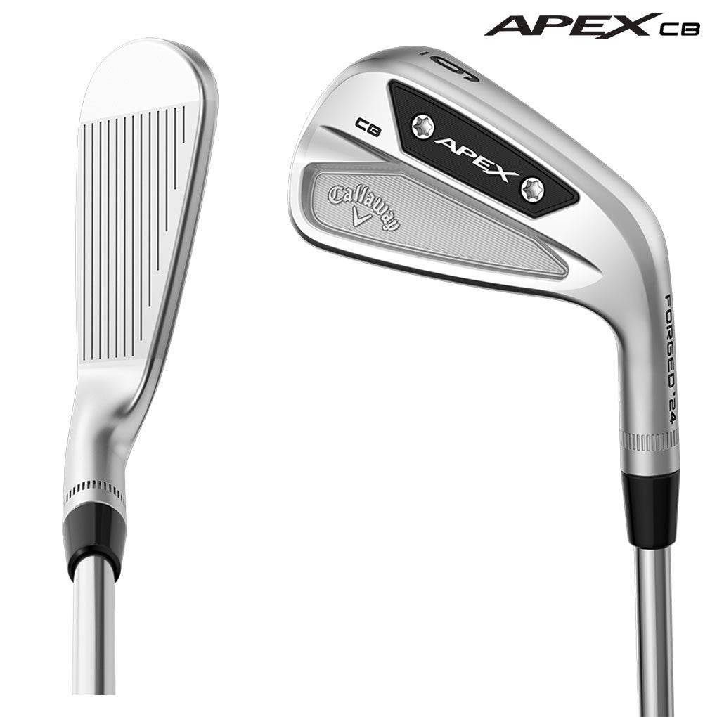 キャロウェイAPEXCBアイアン6本セット5-9,PWメンズ右用DynamicGoldMID115スチールシャフト2023年モデル日本正規品