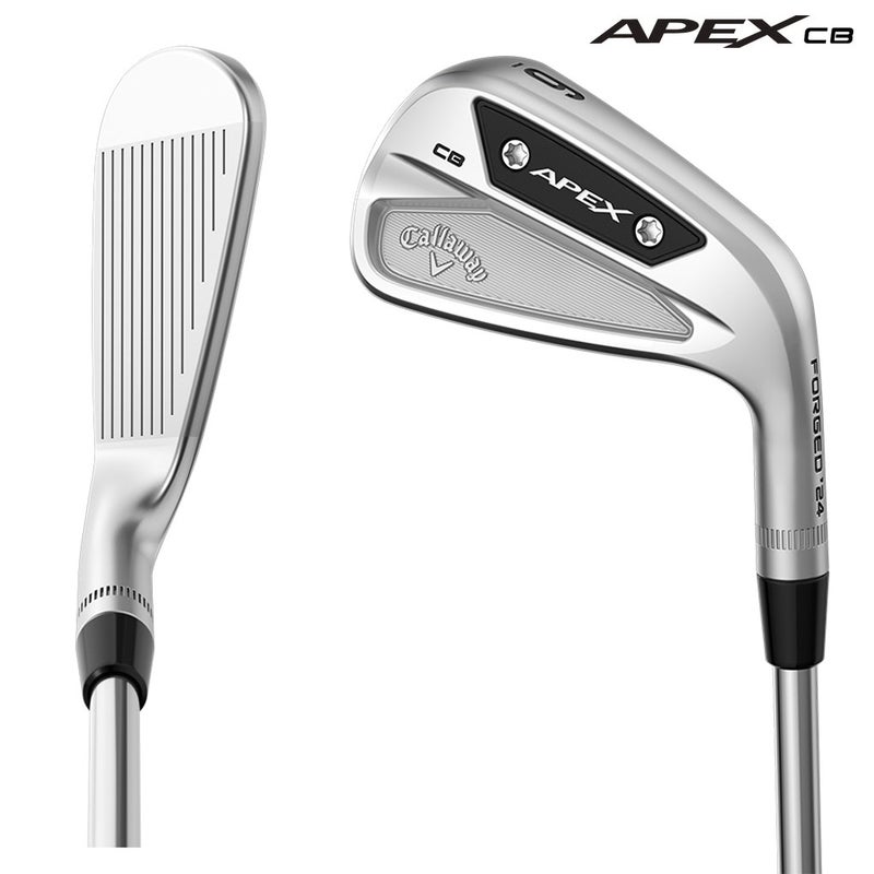 キャロウェイAPEXCBアイアン6本セット5-9,PWメンズ右用DynamicGoldMID115スチールシャフト2023年モデル日本正規品