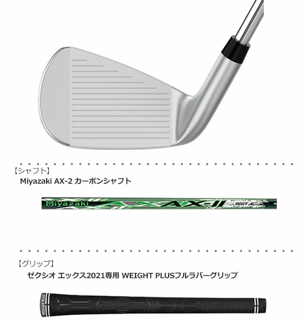 XXIO X-eks- ゼクシオ エックス アイアン 単品 #5 メンズ 右用