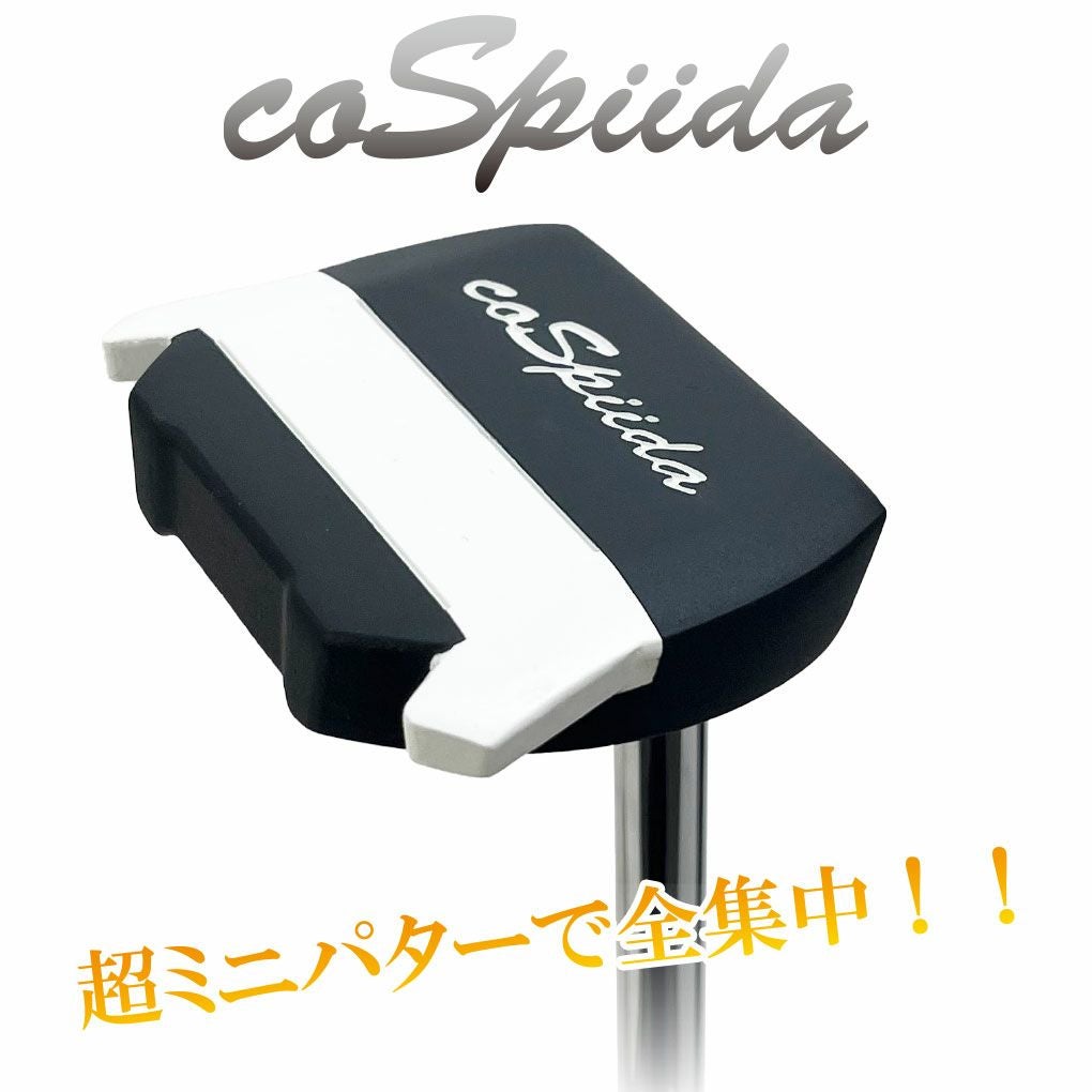 Lynx リンクス CoSpiida コスパイイダ パター メンズ 右用 34インチ