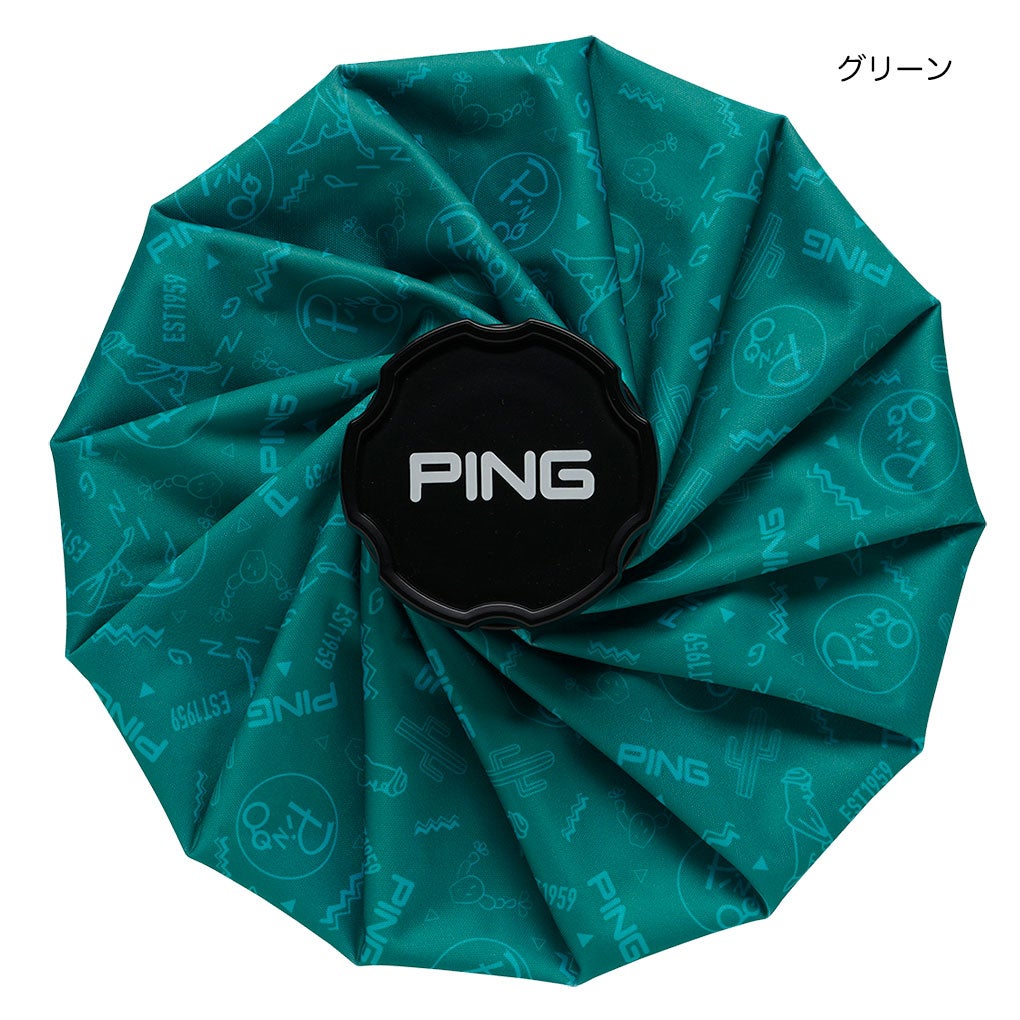 PING ピン AC-U2605 アイスパック 氷嚢 氷のう アイシング 熱中症対策