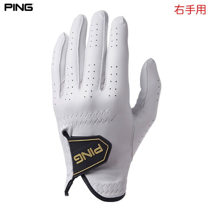 ピンPINGグローブメンズ右手用2026年モデル日本正規品