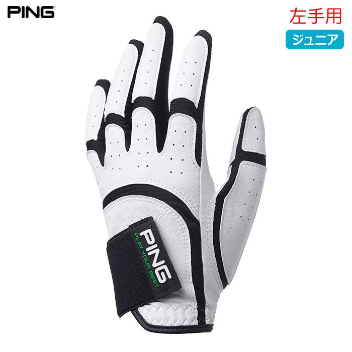 ピンPINGグローブジュニア左手用2026年モデル日本正規品