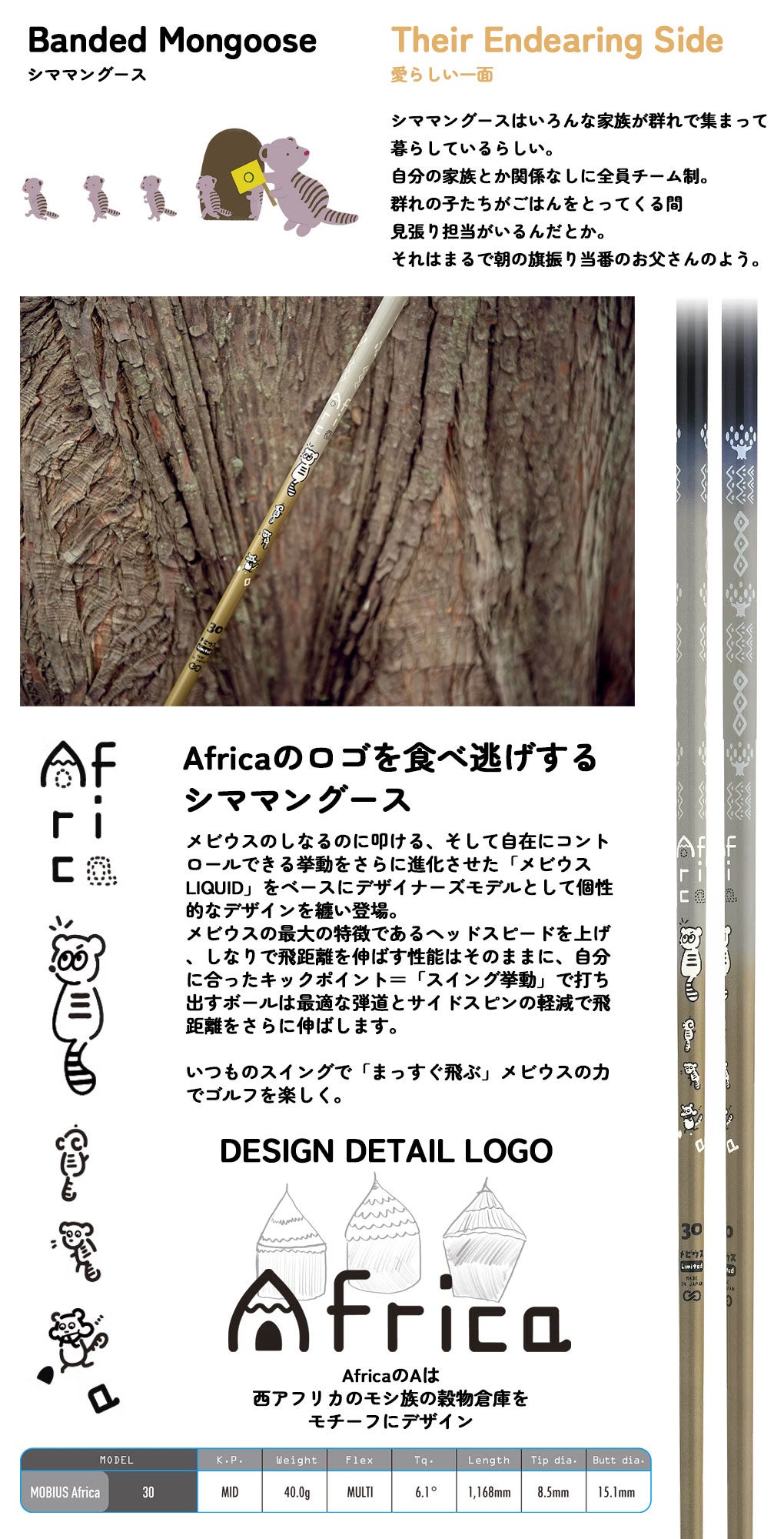デザインチューニングメビウスAfricaスリーブ付きシャフト
