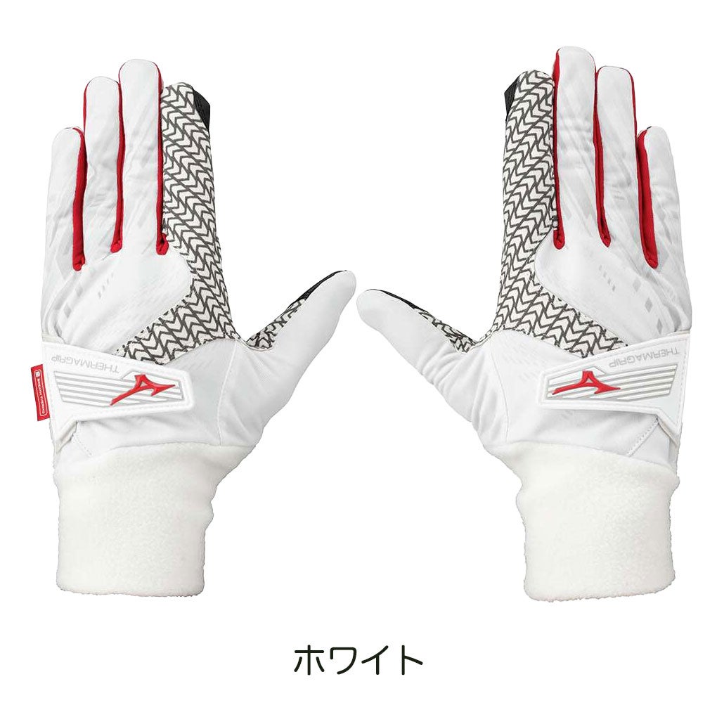 ミズノゴルフグローブ手袋メンズ両手用mizunogolf日本正規品